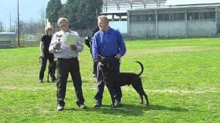 Premiazioni ZTP Nove Von Schattenjager con Giuseppe Soprani