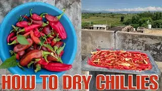 How To Dry Chillies At Home| How To Dehydrate Chilli Peppers (Drying Peppers)