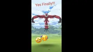 YVELTAL POKEMON GO!!|| POKEMON GO LUMINOUS LEGENDS Y EVENT!!