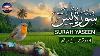 Surah Yaseen (سورة يس) | Relaxing Lofi Quran for Sleep & Meditation for Stress Relief & Deep Sleep