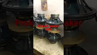 15 inch 500 watt double magnit dj speaker (9810392848)