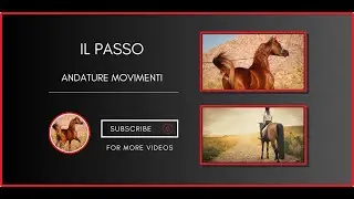 ♘ Cavalli Il Passo || Andature e Movimenti