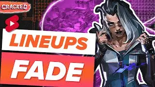 Rank up with these FADE Lineups on BIND