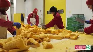 Prodotti - Zucca di Brescello