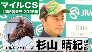 【マイルCS2025】エルトンバローズ・杉山晴紀調教師「今回は強気で攻めてきた」「G１のレースにふさわしいタフなレースになれば」《JRA共同会見》