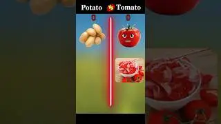 potato vs tomato 🍅🍅 #shorts #short #viral #comparison #ytshorts #vsfactclip2.2