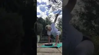 Vinyasa flow