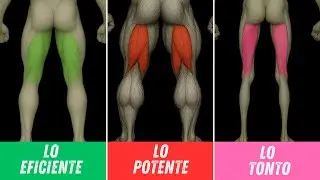 Cómo ENTRENAR tus FEMORALES (sin hacer tonterías)