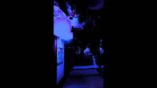 Stranger things Phone drop challenge