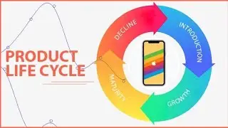 Product life cycle