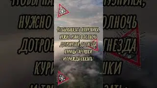 Заговор от сплетен и доносов поганых людей.#shortsvideo #shortsyoutube #viralshorts #shorts #youtube