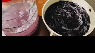 Our  Homemade Grape 🍇 Wine 🍷 