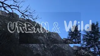Mountain Wind and Birds | Open Nature Ambience