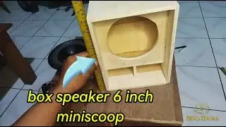 Review Box Speaker 6 inch miniscoop