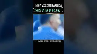 Snake Enters in live match 🐍|| Match Stop For 10 minutes #shorts #indiavssouthafrica