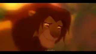 simba | 92 explorer