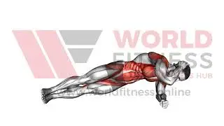 Side Plank Twist Demo