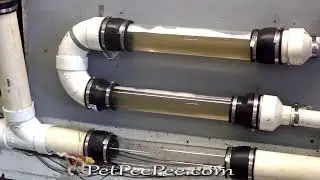 How to get urine smell out of area rug