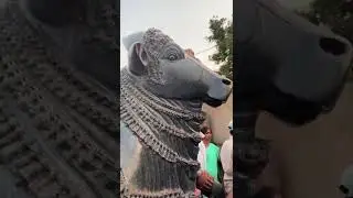 Nandi @ Ramappa Temple, Warangal - UNESCO World Heritage Site