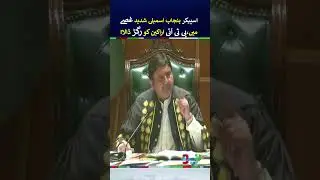 Speaker Punjab Assembly Malik Ahmad Khan Got Aggressive  | #malikahmadkhan #shorts