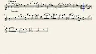 [Flute] Otto Langey 053 Tutor for Flute