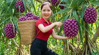 Harvesting 1000+KG Purple Wild PINEAPPLE To Sell at the Market-Village life