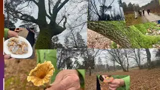 Wandelen in prachtige natuur bos ontdekken leren proeven voelen genieten bewegen gezellig samen zijn