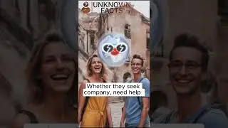 🧳🌍 1 Bizarre Service or Product You Didn't Know Existed &ndash; Uncover the Mystery Now! ✨