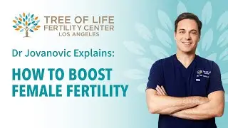 Dr Jovanovic Explains: How To Boost Female Fertility