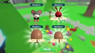 opening 100 cracked eggs in adopt me 