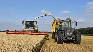 Claas Jaguar 980 & V750 maaibord - Loonw. De Bruyne - GPS hakselen