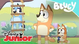 Bluey: &iexcl;Preparados, listos, ya! | Disney Junior Oficial