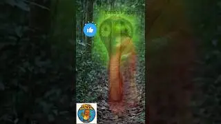 Magical Sari Transformation #3D Animation Shorts#trending #vairal