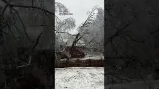 Ice Storm Brings Down Tree in Tennessee