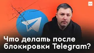 Россия борется с Телеграмом. Пойдут ли люди в &laquo;национальный мессенджер&raquo; Max?