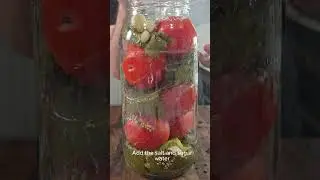 How To Ferment Tomatoes At Home So Easy!