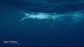 Viper X.3 Ghost - Lucy Charles-Barclay Underwater