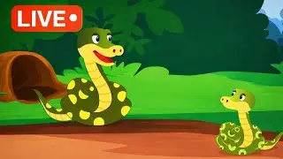 Snake Game LIVE Stream  |
