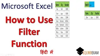 How to Use Filter Function in Microsoft Excel