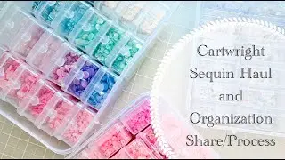 HUGE Cartwright Sequins/Organization Haul & Quick Organization Process