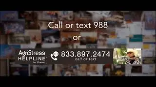 Сеть помощи фермерам и ранчо, испытывающим стресс - :90