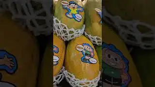 Os Segredos do Sabor e do Cultivo do Mam&atilde;o AGC | Qualidade Garantida | AGC Frutas