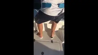 Tarpon Boca Grande