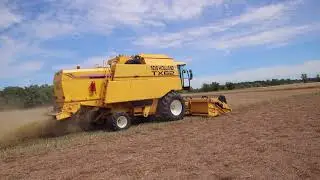 NEW HOLLAND TX 62