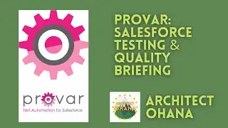 Provar: Salesforce Testing & Quality - Architect Ohana Vendor Briefing