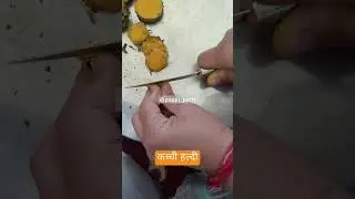 #kacchihaldi #pappi_pettt #healthylifestyle #shorts #trending #health #fact