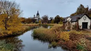 Rain Walk in Loring Park, Featuring Grey & Black Squirrels 🐿️ / Autumn Colors and Rain ASMR 🚶&zwj;♂️🍁☔