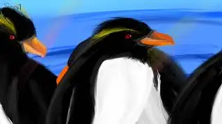 Southern Rockhopper Penguin 남부바위뛰기펭귄 그리기