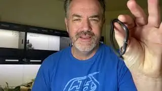 Garter Snakes - Multi-het Radix babies