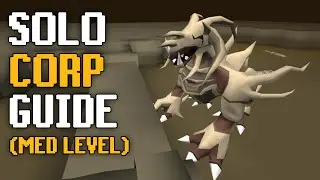 Med Level Solo Corp Guide OSRS